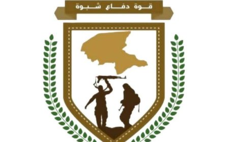 اللواء الثاني دفاع شبوة يتمكن من إلقاء القبض على مطلوب في قضية جنائية بأحد مداخل مدينة عتق