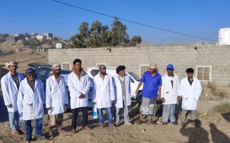 رئيس انتقالي مديرية الحد يدشن الحملة البيطرية للتحصين ضد مرض الطاعون بالمديرية