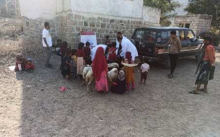 مقبنة: إنطلاق حملة تحصين واسعة لحماية الثروة الحيوانية من الأمراض الوبائية