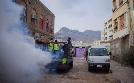 صحة البيئة بصيرة تنفذ حملة رش ضبابي واسعة لمكافحة البعوض