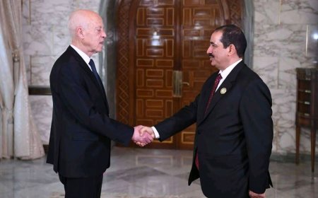 الرئيس التونسي يستقبل وزير الداخلية اللواء الركن إبراهيم حيدان