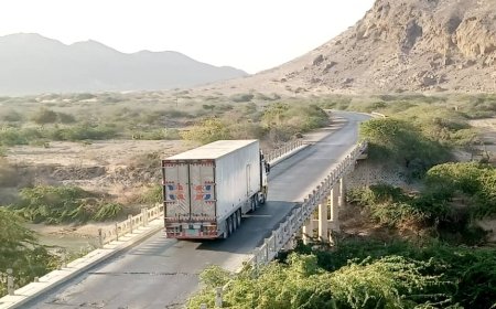 جسر "التضامن" في ميفع بحاجة ماسة للصيانة وإعادة الترميم