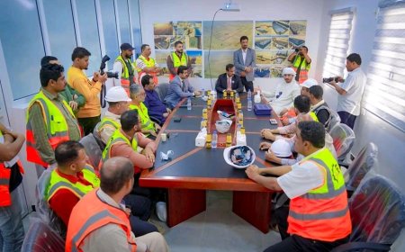 المحافظ بن الوزير وممثل شركة مصدر الإماراتية يتفقدون مشروع الطاقة الشمسية بالمحافظة