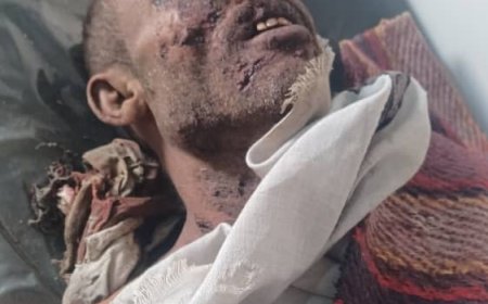 لحج.. مصدر مسؤول بالمسيمير ينفى خبر انفجار لغم ويؤكد ان الحادث بسبب قنبلة صوتية تم العبث.. تفاصيل هامة. 