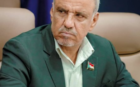 عميد طيار ناصر السعدي: القوى المعادية أدركت استحالة العودة للجنوب عسكريا فلجأت الى خلق الازمات 