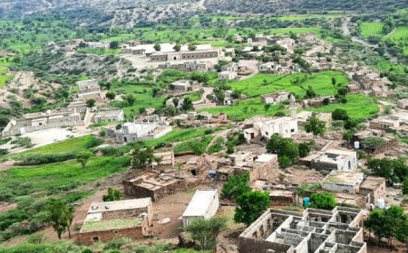 قوات اللواء 13 صاعقة ترد على مصادر النيران لمليشيات الحوثي بجبهة حبيل حنش بالمسيمير لحج