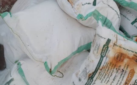 بعد تعرضها للتسوس والتلف.. وصول 5000 ألف طن من الدقيق الفاسد الى ميناء عدن