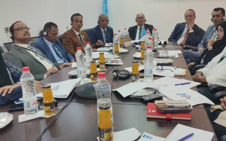 وزير الإدارة المحلية يبحث مع مسؤولين أمميين وأوروبيين الخطة التنموية والاقتصادية للعام الجاري