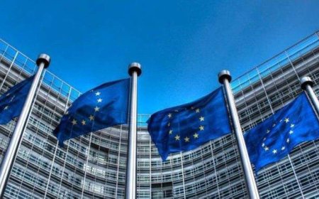 الاتحاد الأوروبي يعتزم تعليق عقوبات مفروضة على #سوريا تتعلق بهذه المجالات