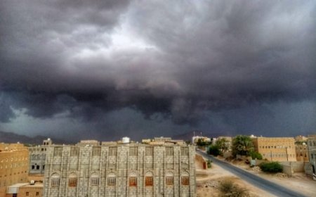 مسؤول حكومي بميفعة شبوة يناشد المنظمات الإغاثية بتقديم إغاثة مستعجلة لوجود كارثة حقيقية بالمديرية