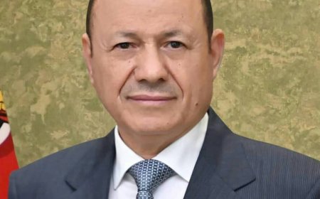 رئيس مجلس القيادة يحيي الجهوزية العالية للقوات المسلحة وكافة التشكيلات العسكرية