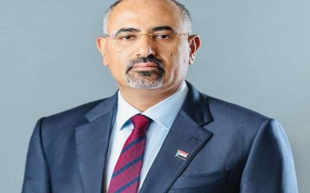 الرئيس الزُبيدي يعود إلى العاصمة عدن بعد زيارات عمل خارجية