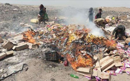 إتلاف 16,896 علبة جبن غير صالحة للاستهلاك في المنصورة