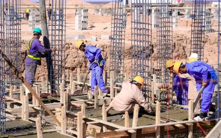 شبوة: بدء صب القواعد الخرسانية للمرحلة الأولى من مشروع إنشاء كلية الطب بجامعة شبوة