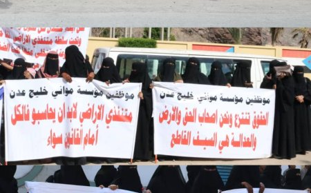 عمال مؤسسة الموانئ  يناشدون المجلس الرئاسي والحكومة بانصافهم  في الارضي الممنوحة لهم منذ 30 عاماً