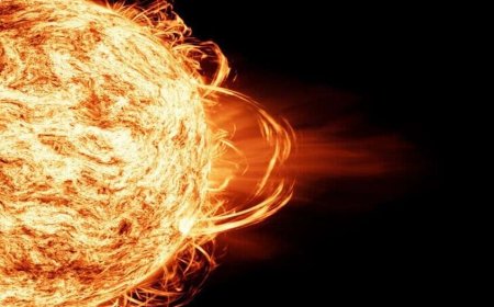 إكاديمية العلوم الروسية تكشف عن رصد توهجا شمسيا من الفئة العليا