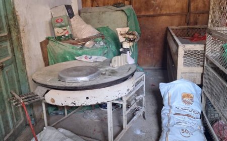 حملة تفتيشية مكثفة لتطبيق الاشتراطات الصحية في مخابز وأفران الشحر