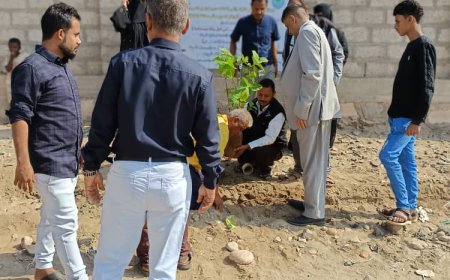 مؤسسة "أدابت-إن" (Adaptin) تختتم مبادرة غرس 800 شجرة في خنفر وزنجبار بأبين لتعزيز الاستدامة البيئية