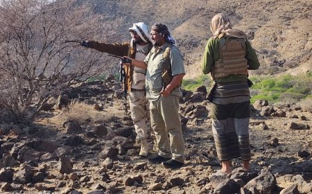 ألوية الدعم والإسناد بقيادة المشوشي تسجل نجاحات كبيرة في محاربة التنظيمات الإرهابية