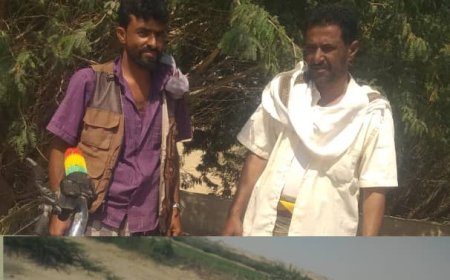 انتقالي أحور يتفقد المنشآت الزراعية بالمديرية