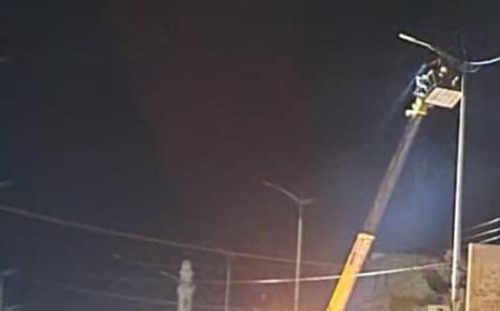 صندوق النظافة وتحسين المدينة بأبين يدشن حملة صيانة خطوط الأنارة للشوارع الرئيسية بالعاصمة زنجبار