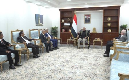 طارق صالح يناقش مع وفد وزاري خطط إنعاش السياحة في المناطق المحررة