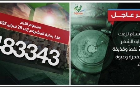 مسام يعلن نزع 2,817 لغماً وذخيرة وعبوة ناسفة خلال شهر فبراير ليبلغ عدد ماتم نزعه 483 ألف منذ انطلاقه