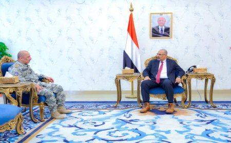 الرئيس الزُبيدي يؤكد على تعزيز قدرات خفر السواحل وتعزيز الأمن البحري