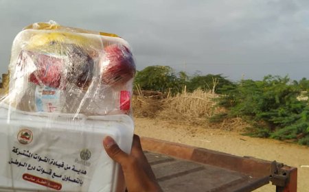 تستمر خلال أيام شهر رمضان المبارك.. مركز الملك سلمان للإغاثة والأعمال الإنسانية يوزع ألف وجبة إفطار صائم تستهدف مديريتي زنجبار وخنفر