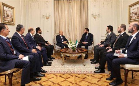 لقاء الشرع بالعليمي في القاهرة 