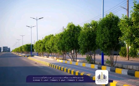 مدينة الخليج العربي والسير بخطوات ثابتة