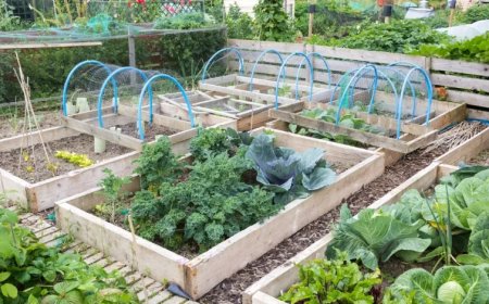 ﺯﺭﺍﻋﺔ ﺍﻷﺳﻄﺢ .. ﺩﺭﺍﺳﺔ ﺗﺄﺛﻴﺮ إﺿﺎﻓﺔ ﺍﻟﻜﻤﺒﻮﺳﺖ ﻟﺘﻘﻠﻴﻞ ﺍﺳﺘﺨﺪﺍﻡ ﺍﻟﻤﺤﻠﻮﻝ ﺍﻟﻤﻐﺬﻯ ﻓﻲ إﻧﺘﺎﺝ ﺍﻟﺨﺲ