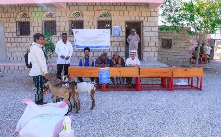 مدير عام ميفعة يدشن مشروع FCDO لدعم الأسر الأشد ضعفًا بتوزيع مواشي للأسر المستهدفة