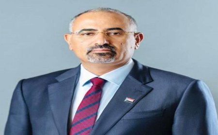 الزُبيدي.. يُعيّن الحييد رئيسًا لتنفيذية انتقالي محافظة أبين
