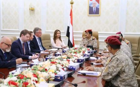 وزير الدفاع يبحث مستجدات الأوضاع مع المستشار العسكري للمبعوث الأممي 