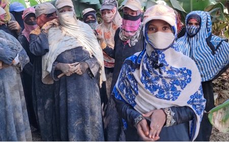 عيد المرأة العالمي في أبين.. تكريم الرائدات أم إعادة إجترار الماضي ..؟!