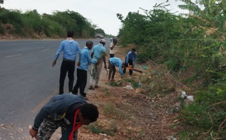 كشافة أبين تبادر بقص أشجار السيسبان الذي يعيق حركة السير من النفق الاخضر بالخط الدولي بزنجبار
