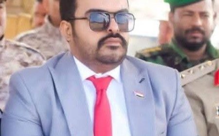 السباعي: زيارات الرئيس الزبيدي الميدانية التاريخية للمحافظات توحّد الجنوب