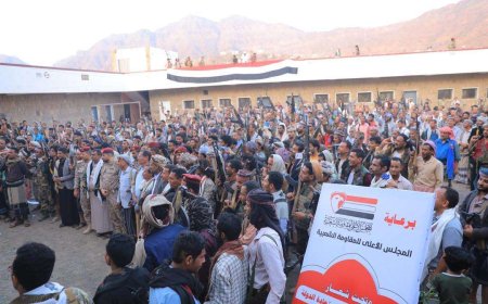 تعز.. المقاومة الشعبية بمديرية المعافر تعلن جاهزيتها لإسناد معركة التحرير
