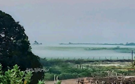 ضباب ساحر يغلف جعار ويحولها إلى لوحة طبيعية مدهشة