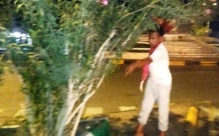 بالتنسيق مع مدير صندوق النظافة شباب كشافة أبين يضفون لمسة جمالية على زنجبار استعدادًا لعيد الفطر