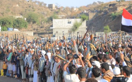 تعز.. المقاومة الشعبية بمديرية جبل حبشي تعلن جاهزيتها الكاملة لاستكمال التحرير