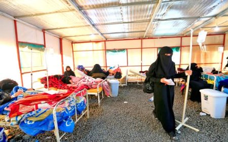 الكشف  50 ألف إصابة بالملاريا في تعز خلال عام