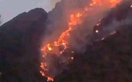 تعز.. حريق هائل يلتهم اجزاء من جبل صبر