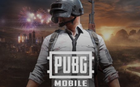 مقتل شقيقان والسبب لعبة PUBG !