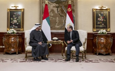 الرئيس المصري ونظيره الإماراتي يبحثان العلاقات الثنائية