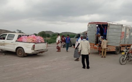 قوات درع الوطن تستهدف قرى الميوح والفيجة وحلمة ومخيم نازحي جول السادة بمديرية خنفر بمحافظة أبين