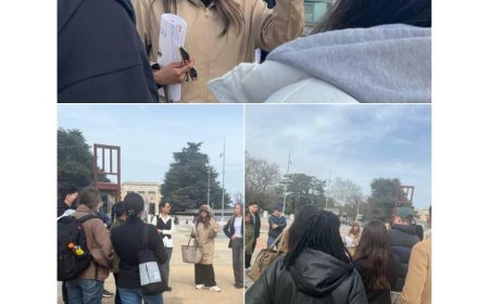 جنيف: الحقوقيون والصحفيون الدوليون يستمعون لتقرير مفصل عن انتهاكات الحوثيين في اليمن والكارثة الإنسانية المحققه. 