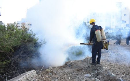 محاربة البعوض نحو بيئة صحية وآمنة عنوان حملة أطلقتها منظمة مرايا المستقبل  لمكافحة البعوض في مدينة عدن