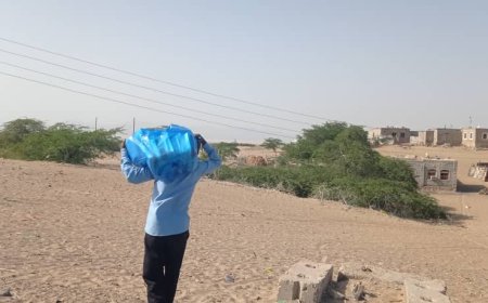 بدعم من قيادة القوات المشتركة.. قوات درع الوطن تختتم مشروع توزيع وجبات إفطار صائم في أبين